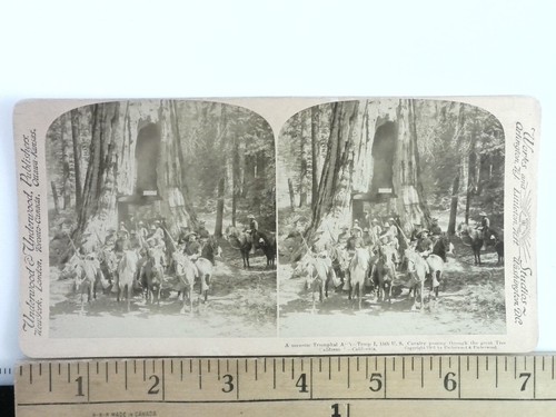 1901 underwood - &,