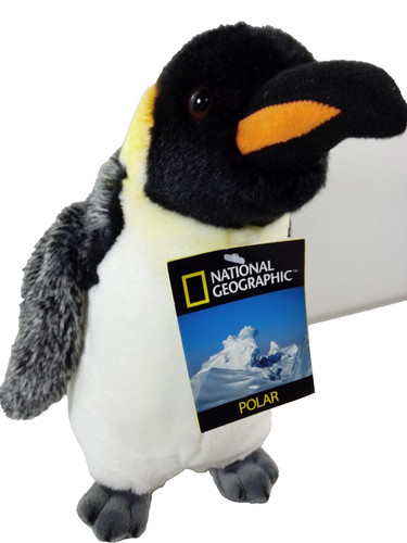 Pinguino ngs peluche - pinguino, h