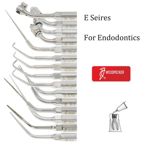 Picchio endodonzia dentale