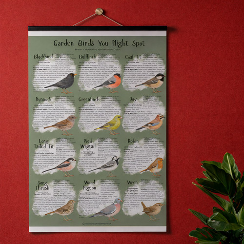 Poster garden birds you - a1,