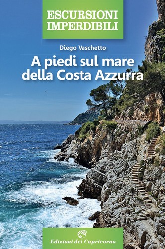 Libro nuovo diego vaschetto - libro,