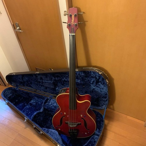 Raro basso acustico