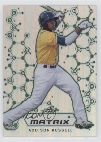 2013 leaf rookie - leaf, genetic