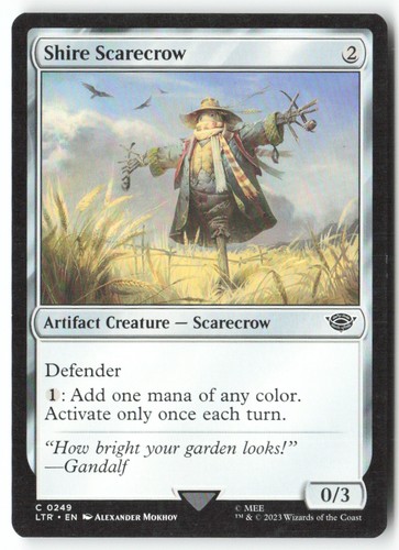 T334 shire scarecrow 0249 - [t334],