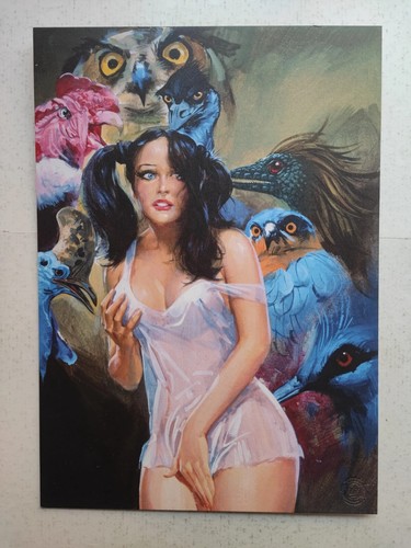 Cover averardo ciriello - cover,