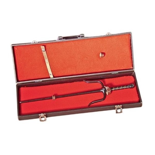 Custodia rigida professionale - custodia,