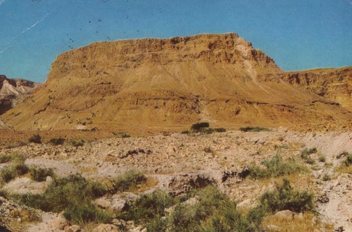 Cartolina epoca israele - d'epoca,