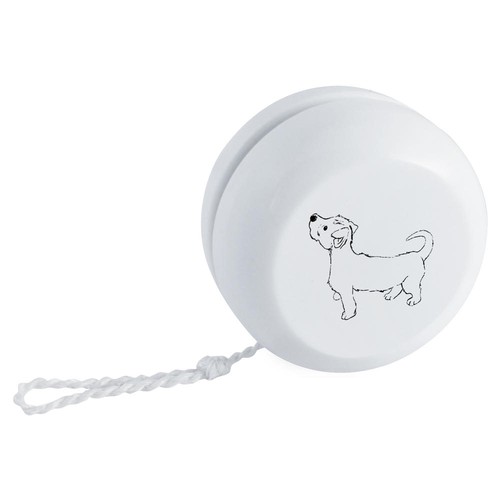 Jack russel puppy - 'jack,