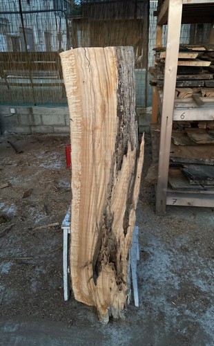 Tavola legno ulivo - tavola,