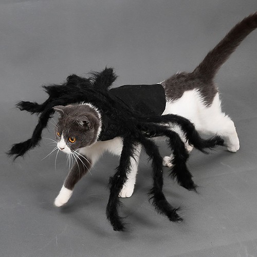 Funny pet cosplay vestito - funny,