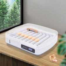 Incubatrice 35 uova