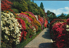 Italia - Italia - Lombardia - Lago di Como - Villa Carlotta - Viale delle Azalee