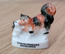 Fava - Gatti Persiani Bicolore
