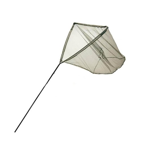 Acs490078 guadino carp - acs490078,