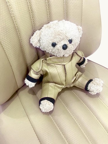 Teddy mascotte giacca corsa - mascotte,