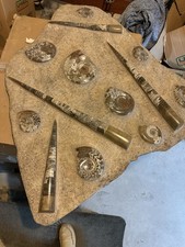 HUGE Goniatite Fossils and