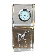 American Paint Horse -