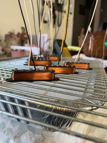 Stratocaster set pickup - di, 3