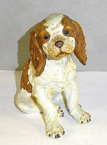 Cane goebel cocker spaniel - goebel,