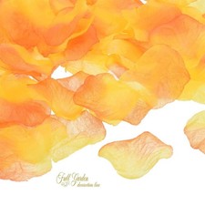 100 PEZZI  PETALI DI ROSA