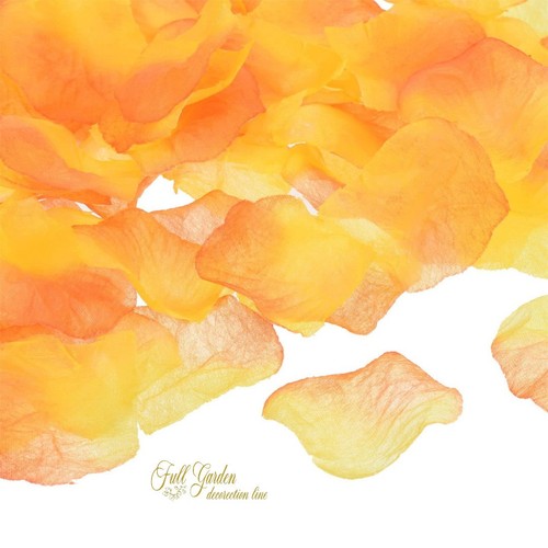 100 pezzi petali rosa - ,
