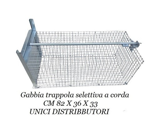 Gabbia recupero trappola - recupero,