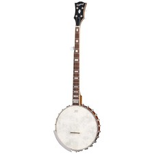Epiphone Mastertone Papillon