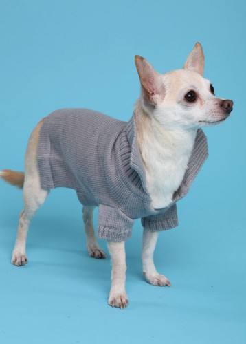 Maglioni per cani - cani, di