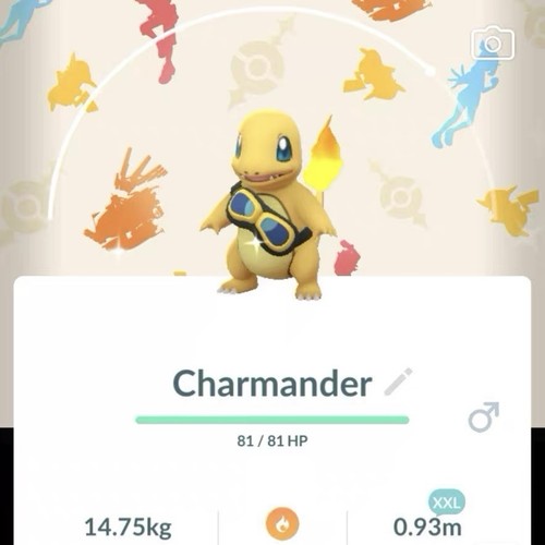 Pogo shiny xxl - pogo,