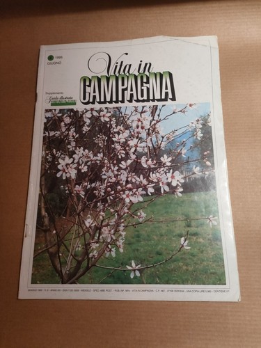 Agricoltura giardino orto - giardino,