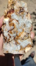 Nevada Great Basin Agata Rock