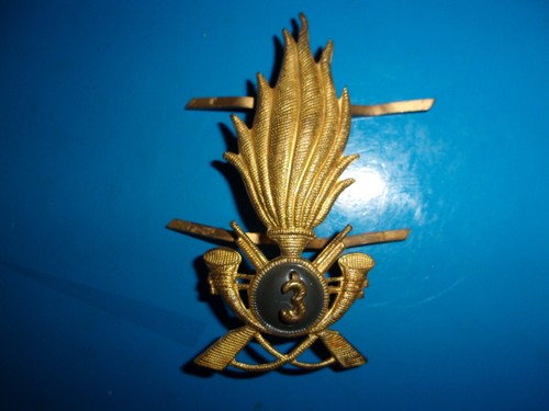 Guardia finanza fregio - finanza,