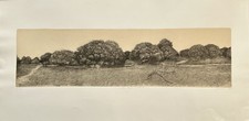 Livio ceschin acquaforte - livio,