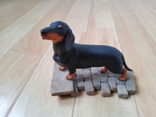 Tom Mackie Smooth Dachshund
