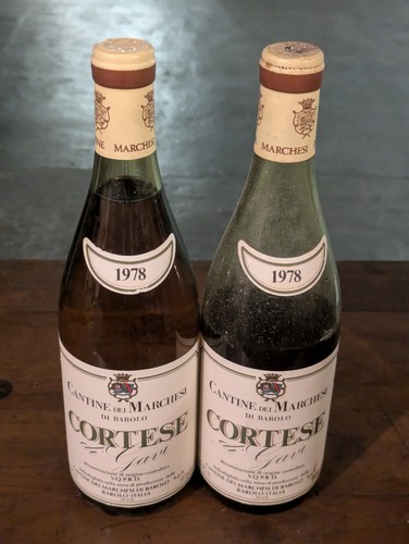 Vino cantine marchesi - cantine, di