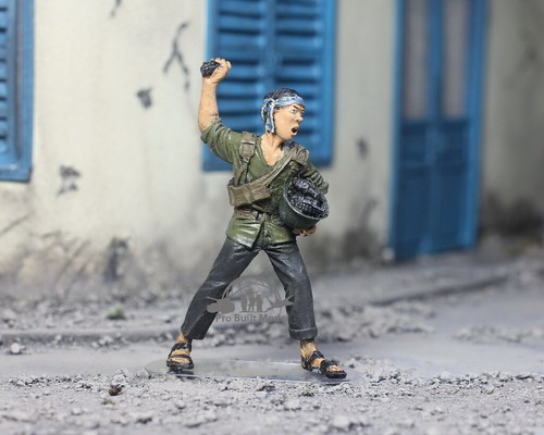 Soldato vietcong prevendita - vietcong, in