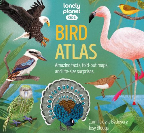Lonely planet kids bird - kids,