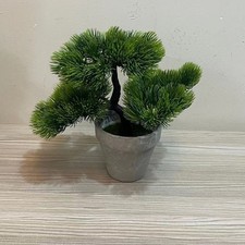 Fake Pine Bonsai 22cm in