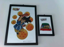 2 QUADRI DRAGONBALL GOKU