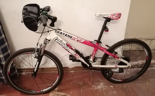 Bicicletta mountain bike