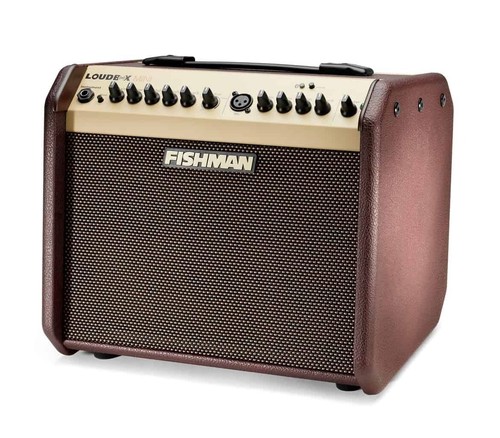 Fishman loudbox mini - loudbox,