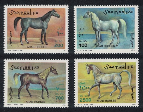 Somalia cavalli arabi 1996 - somalia,