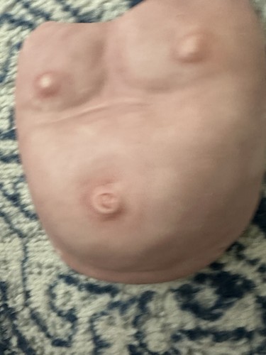 Piatto pancia predipinto per - pancia,