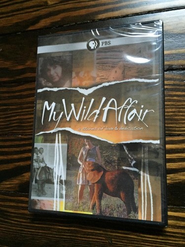 Wild affair dvd - my,