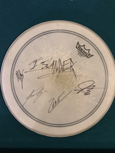 Testa autografata islander - testa,