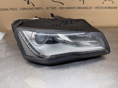 Faro proiettore xeon destro - proiettore,