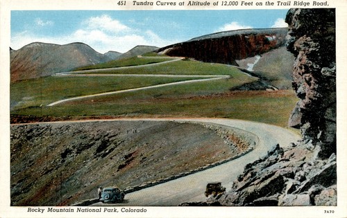 Cartolina tundra curves - cartolina,