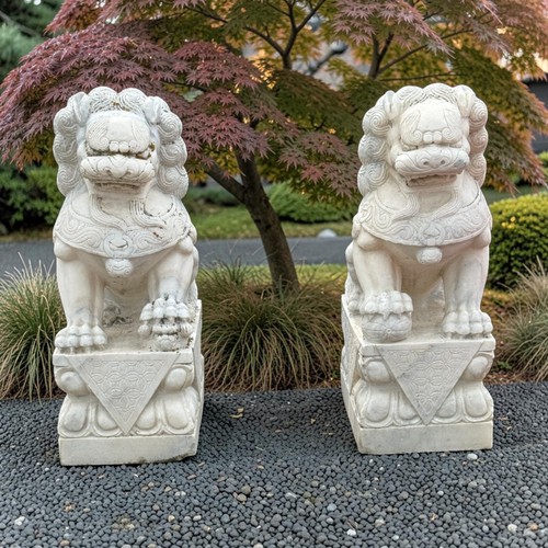 Coppia leoni guardiani in - di,