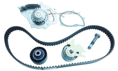 Kit cinghia distribuzione - cinghia,