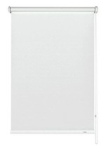 (TG. 92 x 180 cm) Gardinia